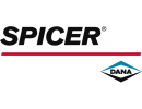 DANA SPICER